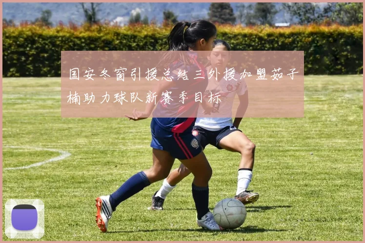 国安冬窗引援总结三外援加盟茹子楠助力球队新赛季目标