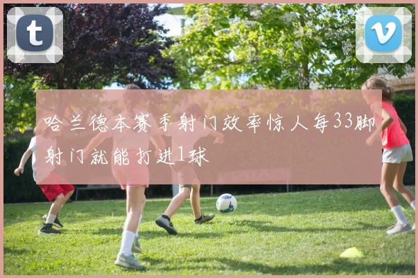 哈兰德本赛季射门效率惊人每33脚射门就能打进1球