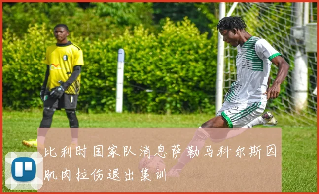 比利时国家队消息萨勒马科尔斯因肌肉拉伤退出集训