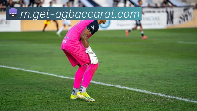 AG百家乐平台生态图